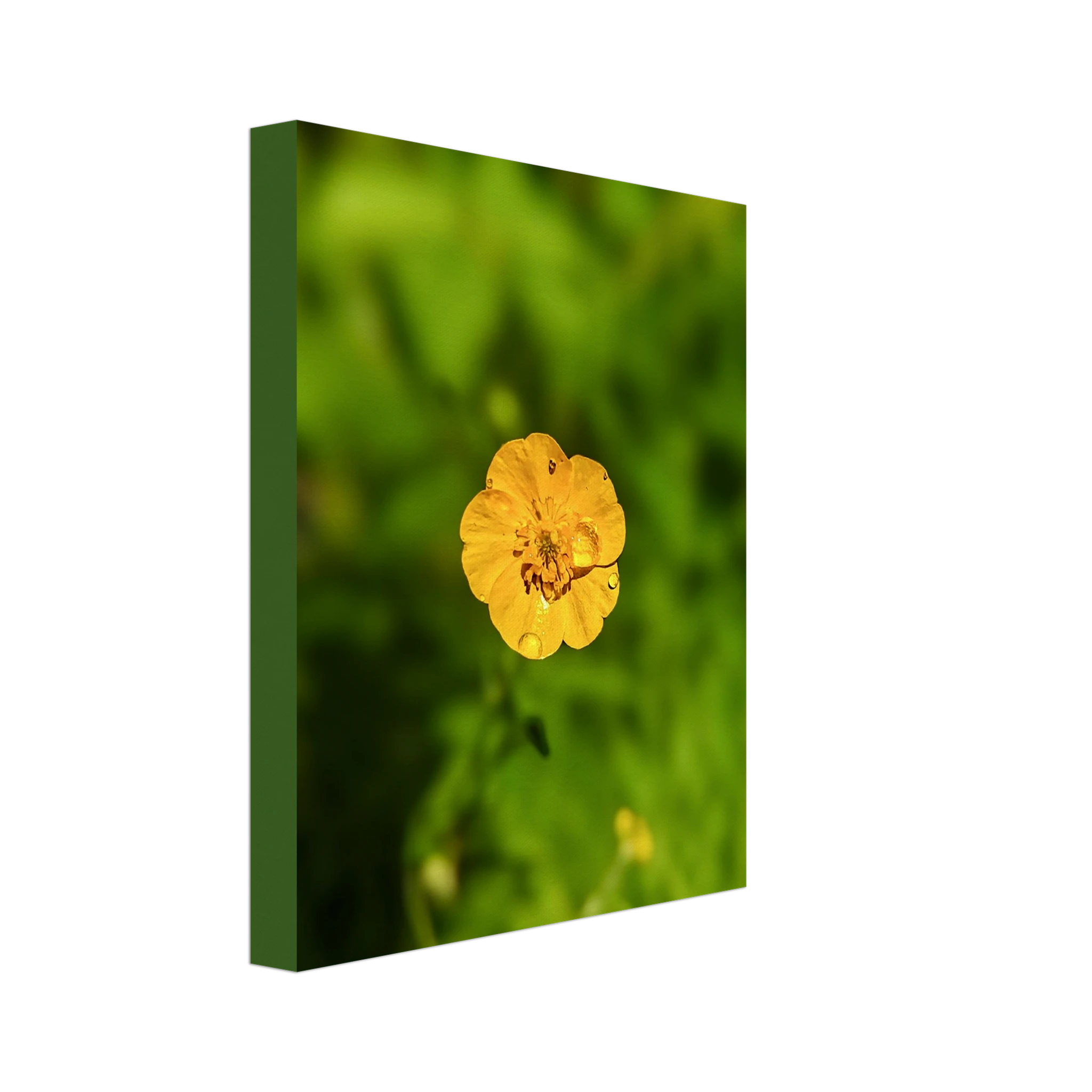 3cd7007c-9f06-4412-8499-fbc05aea8d2b