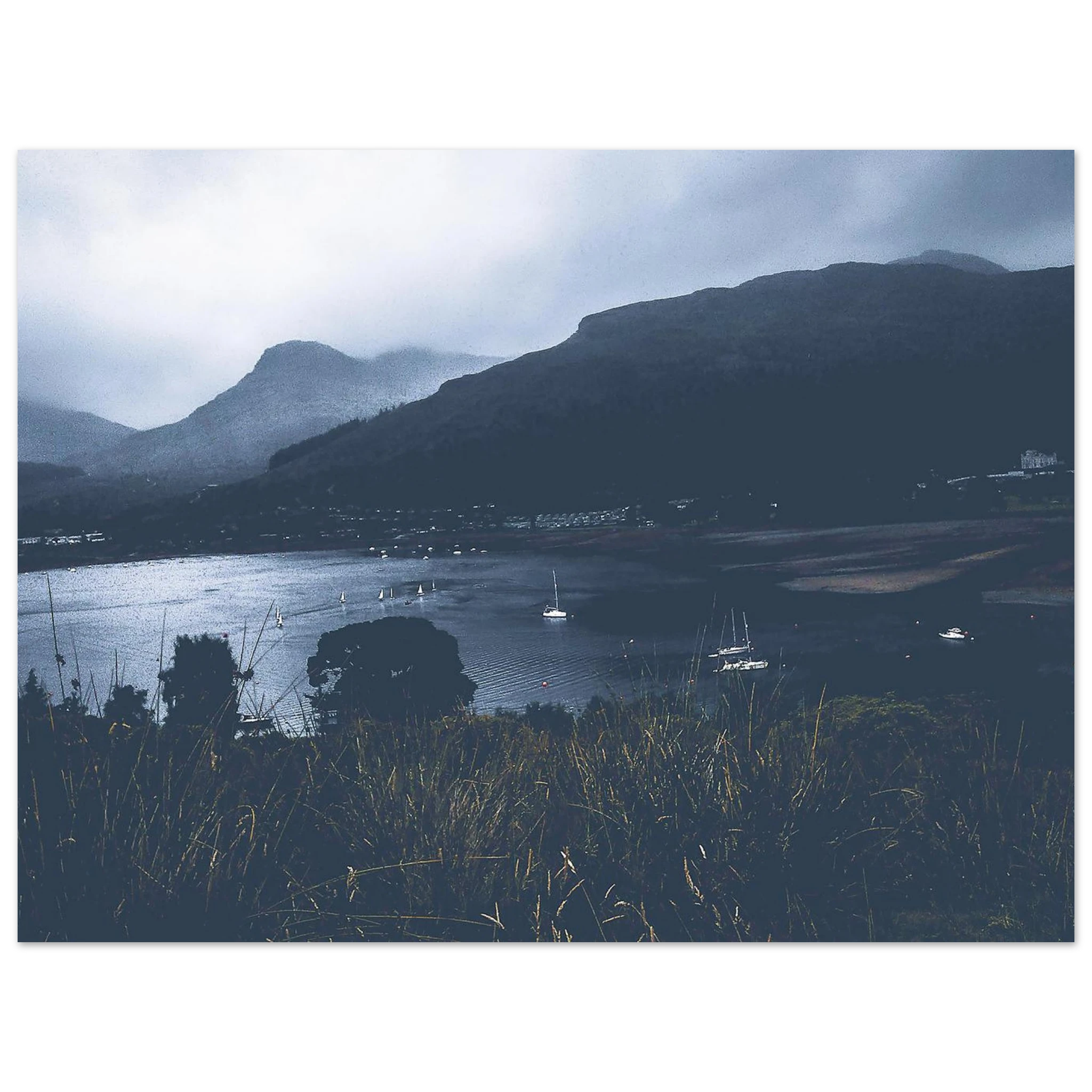 4d4f4334-52a4-48d4-92c8-85e09e950f39